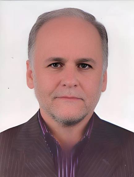 سید حمید طباطبایی